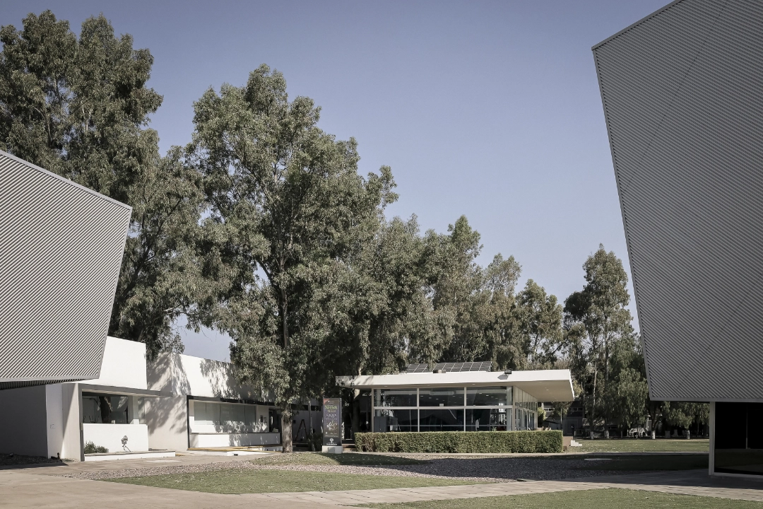 Escuela De Gastronomía Y Cafetería