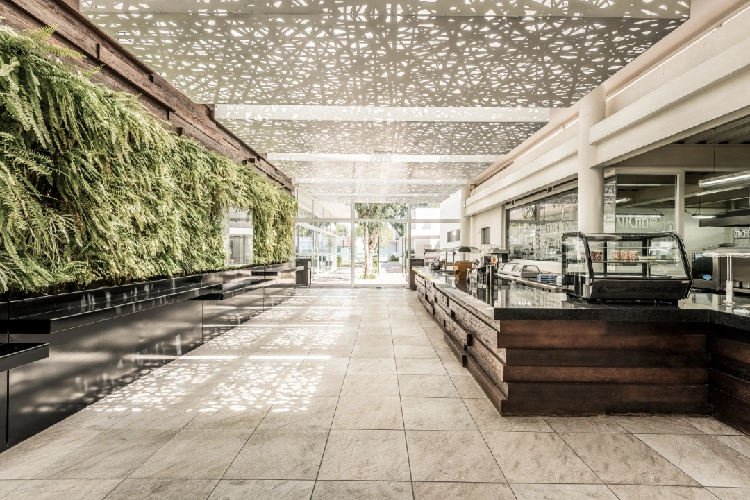 Escuela De Gastronomía Y Cafetería
